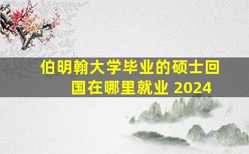 伯明翰大学毕业的硕士回国在哪里就业 2024